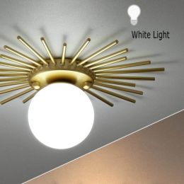Corridor balcony ceiling lamp (Color: White light, size: 35cm)