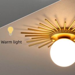 Corridor balcony ceiling lamp (Color: Warm light, size: 25cm)